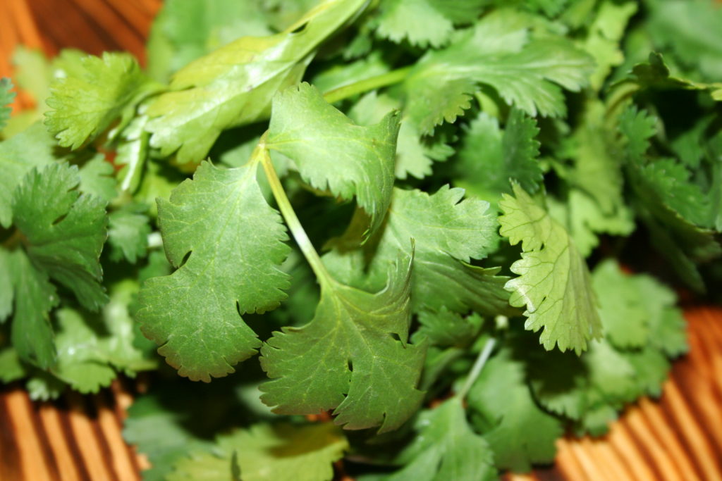 HERBS Bengali Kitchen Recipes