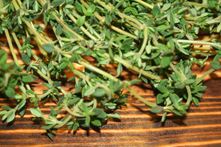 HERBS Bengali Kitchen Recipes