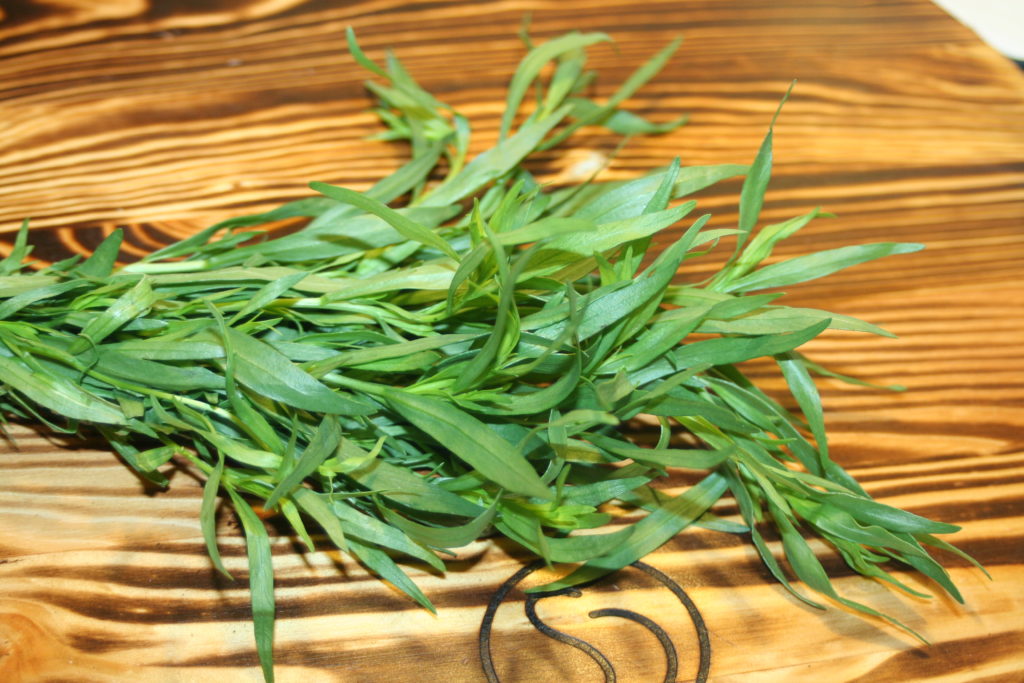 HERBS Bengali Kitchen Recipes