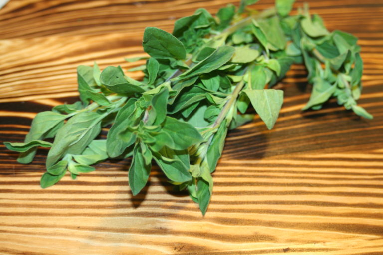 HERBS Bengali Kitchen Recipes