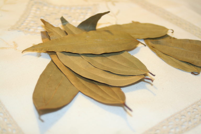 HERBS Bengali Kitchen Recipes