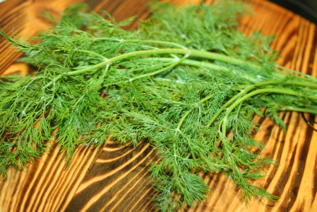 HERBS Bengali Kitchen Recipes